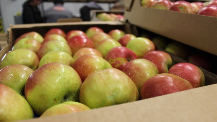 Što donosi jedinstvena nacionalna oznaka "Dokazana kvaliteta - Hrvatska"?