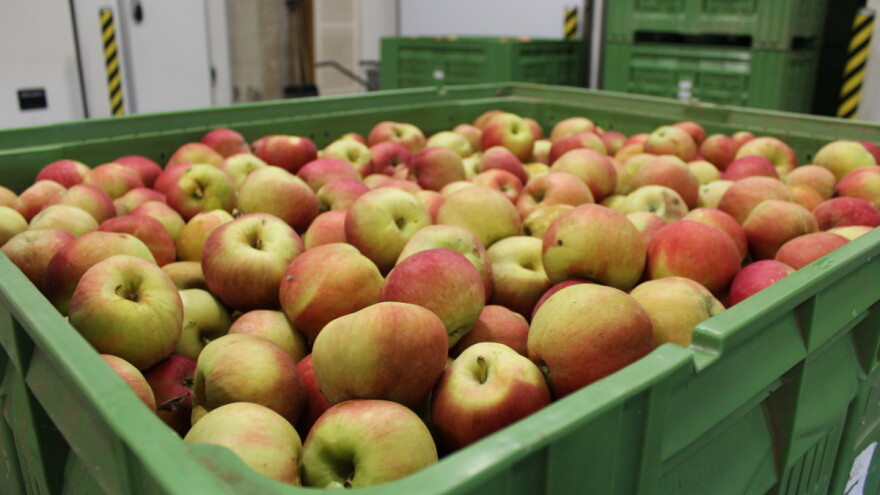 Voćari, prijavite se za 16. znanstveno-stručno savjetovanje!