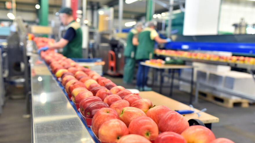 Potporu u Intervenciji 73.11 ostvaruje gotovo 80% prijavljenih