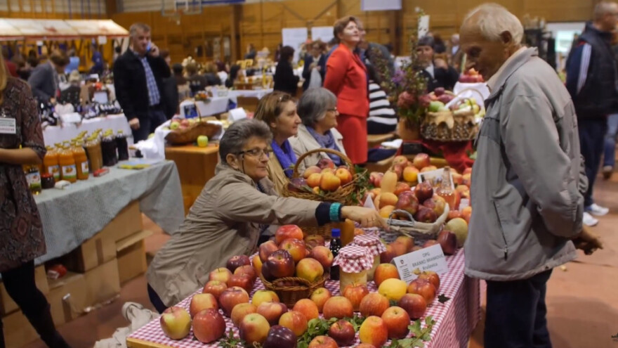 Na Jabučinim danima slave se vrijedne ruke voćara