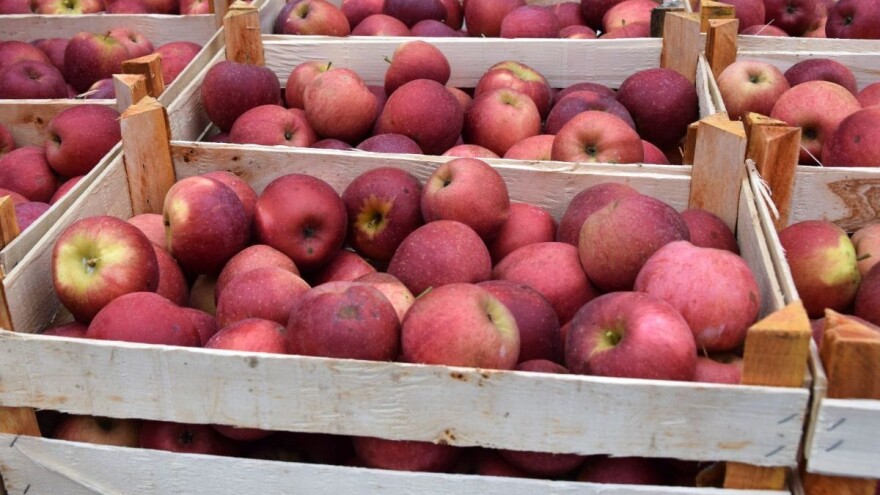 Otvoreni natječaji: 183 milijuna eura za promociju poljoprivrednih proizvoda