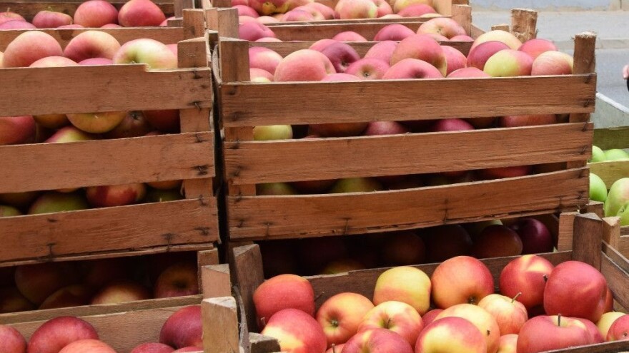 Školska shema: Otvoren Javni poziv za školske ustanove i dobavljače