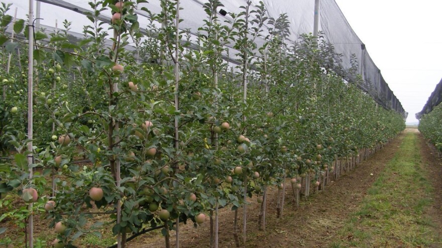 Razvedravanje i sunčano vrijeme stiže nam tek u nedjelju