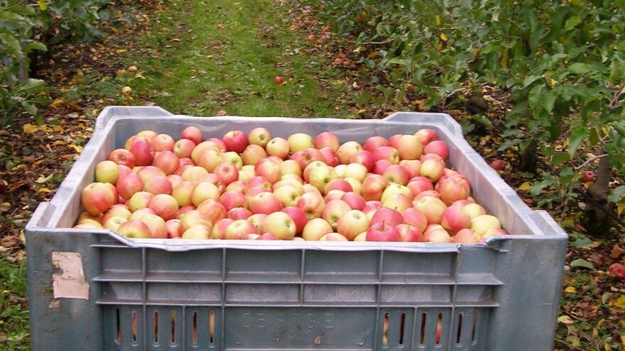 Stjepan Zorić: Sektor voća i povrća može biti generator razvoja