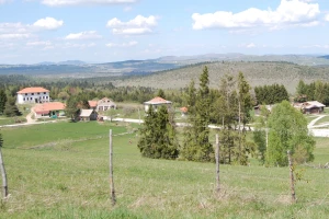 Kad ovce ne mare za državnu među