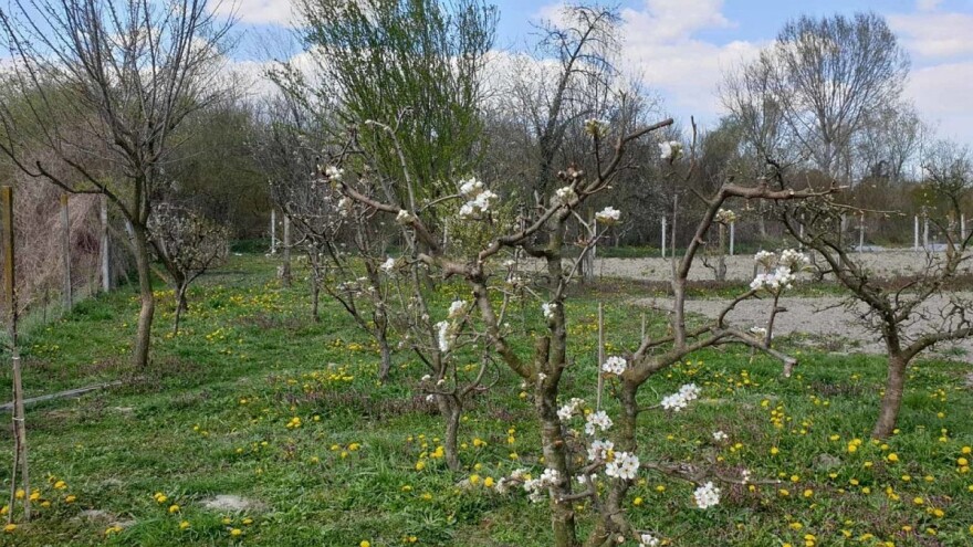 Hoćemo li ovaj vikend moći raditi u baštama, voćnjacima...?