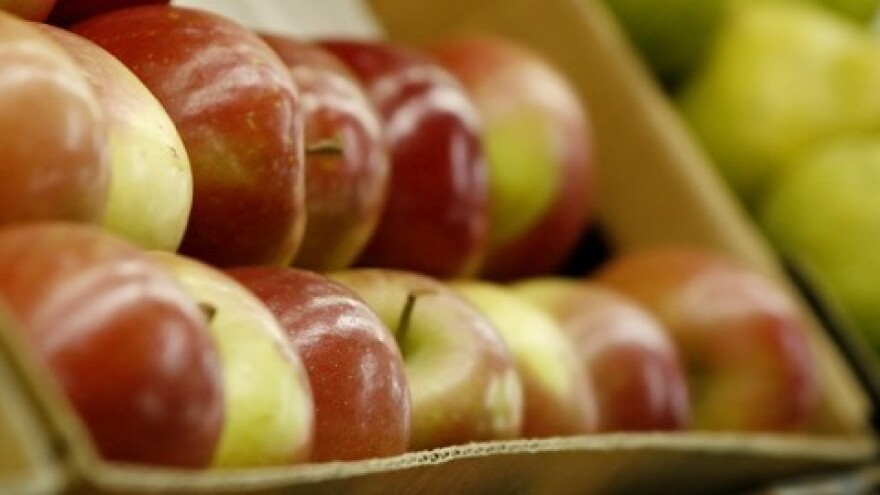 Prijavite se na Dane jabuka u Požegi!