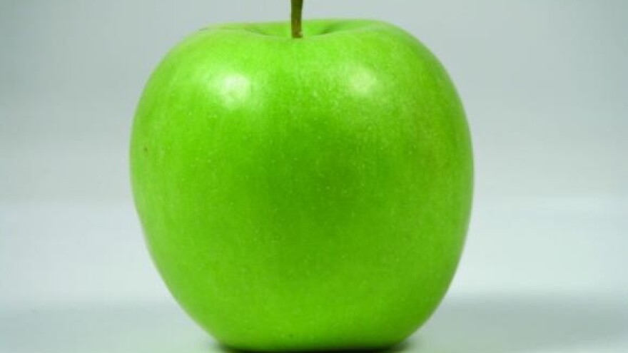 Travanjske kiše "donose" krastavost jabuke i kruške!