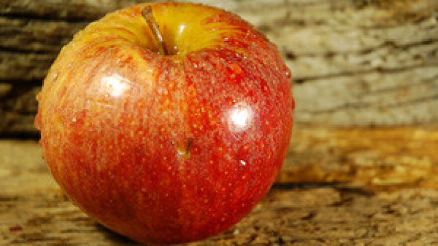 Dani jabuka u Požegi