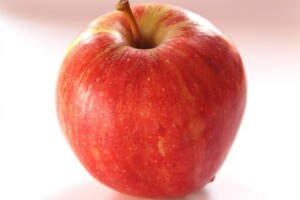 Stručni skup voćara u Osijeku