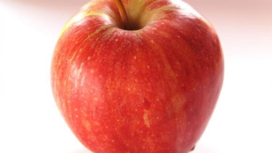 Stručni skup voćara u Osijeku