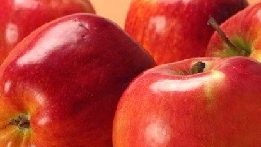 Jabučini dani u Đakovu