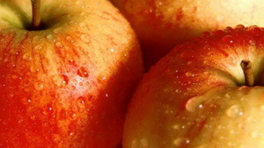 Olakšan izvoz za poljoprivredne proizvode