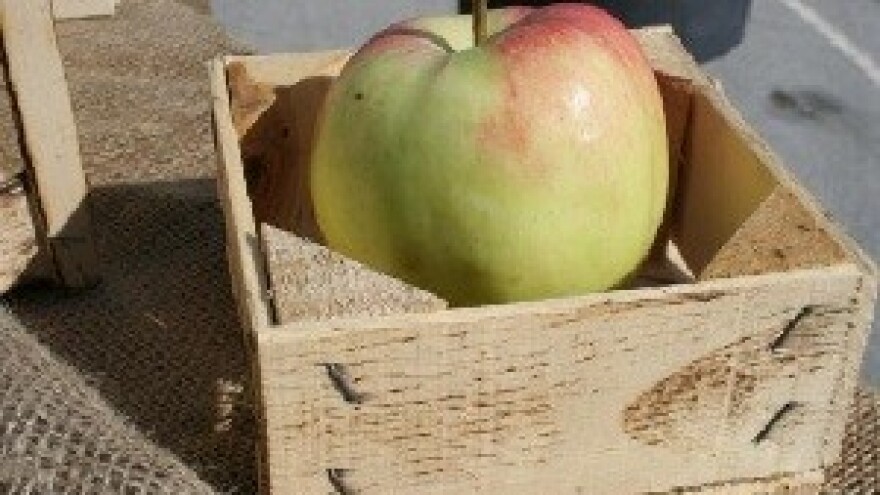 Kako je izvrstan urod postao problem, a ne prednost?