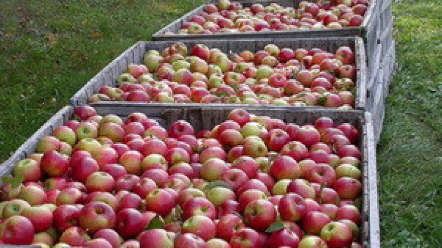 Ključ uspjeha za voćare je u udruživanju