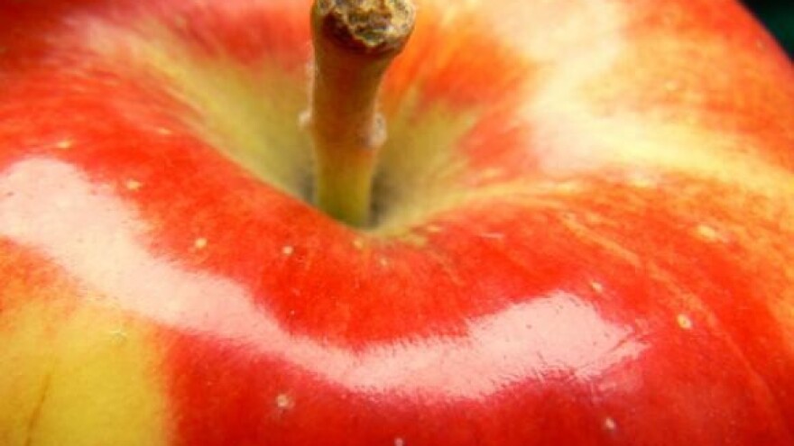 Radionica Poljoprivrednog instituta Osijek