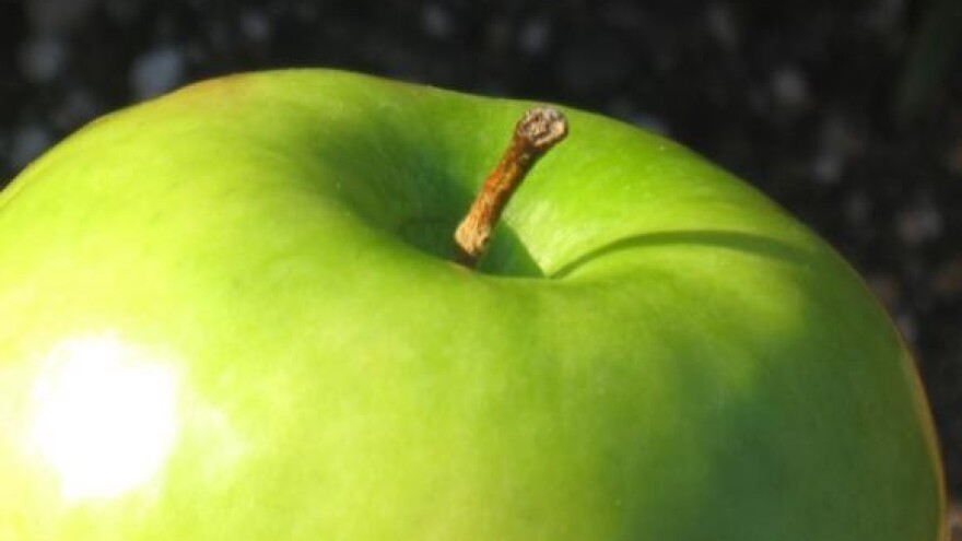 Cijene voća divljaju