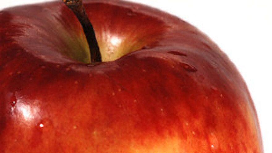 Jabučine dane posjetilo više od 2.000 posjetitelja