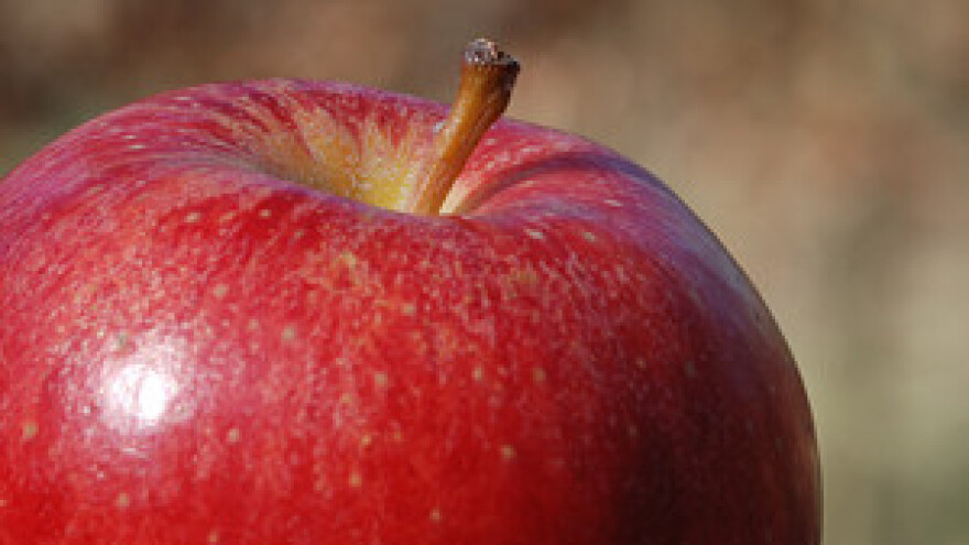 Proizvodnja i prodaja voća i povrća pod državnim povećalom