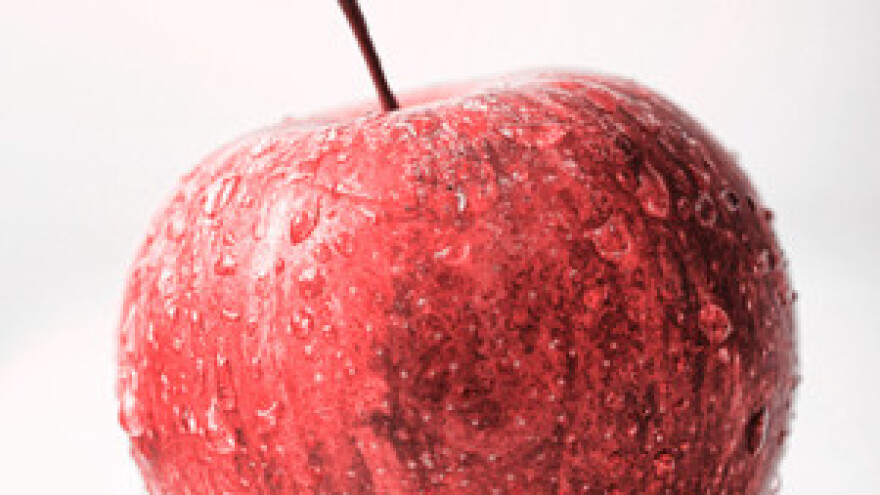 Naši voćarski prinosi i kvaliteta ne mogu pratiti proizvodnju EU