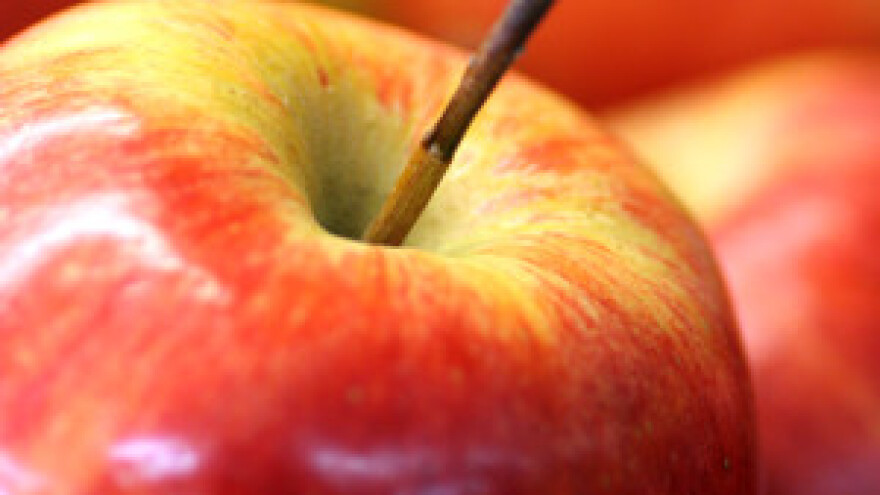 Čobanković otvara 6. savjetovanje hrvatskih voćara