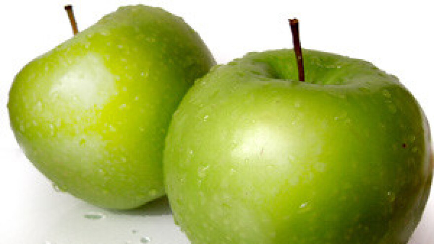 Radionica za voćare