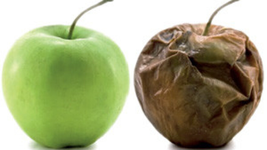 Ozon smanjuje kvarenje voća