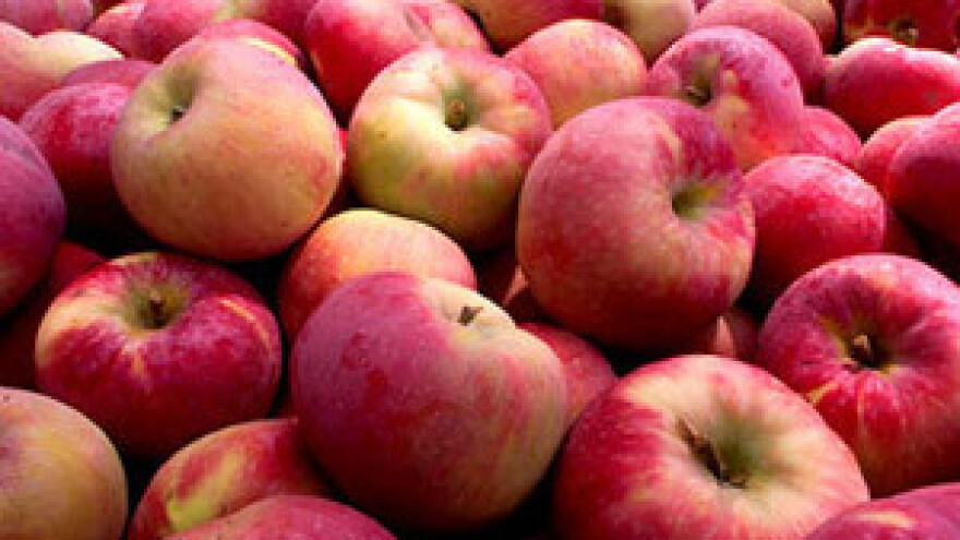 Ricardo će prerađivati voće i povrće