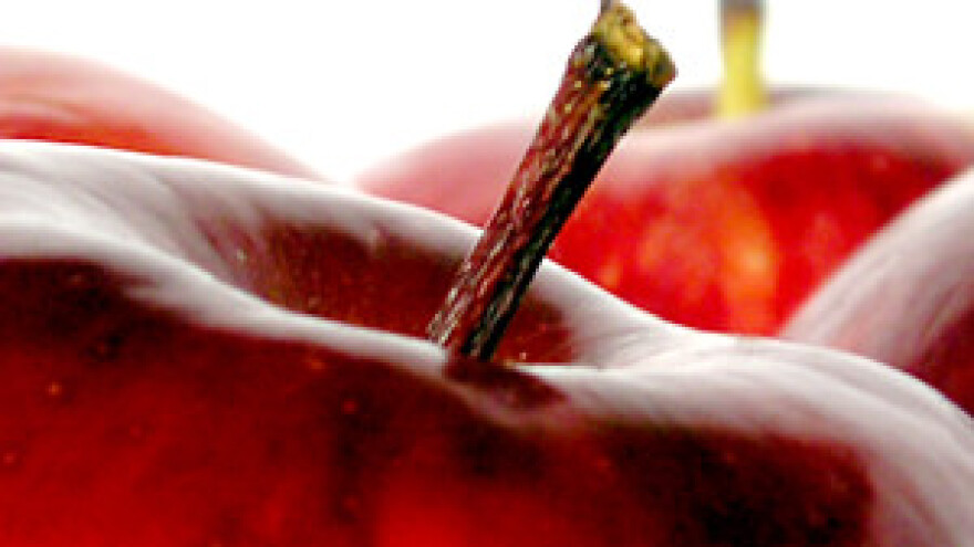 Kalkulacije voćnih kultura 2012