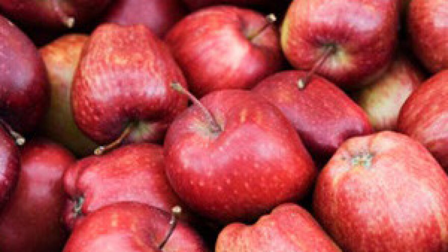 Poskupljuje voće, jabuka će već do Božića nedostajati