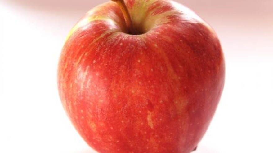 Jabučini dani i Zlatne ruke okupili vrhunske proizvođače