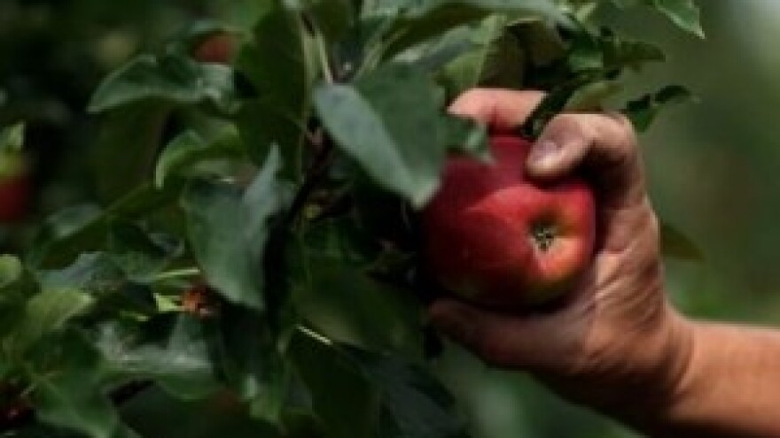 OPG izjednačen u pravima sa tvrtkama