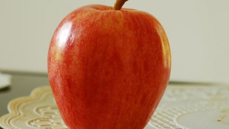 Održani " Jabučini dani 2009."  u Đakovu