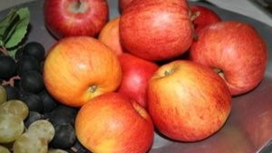 Mjere u zaštiti jabuke i kruške