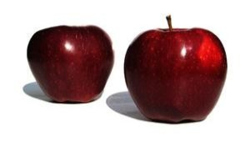 Mjere u zaštiti jabuke i kruške