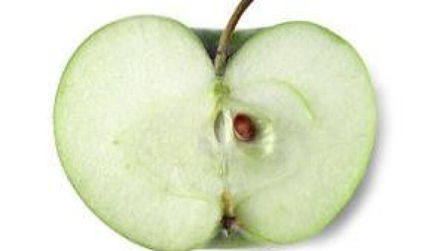 Mjere u zaštiti jabuke i kruške