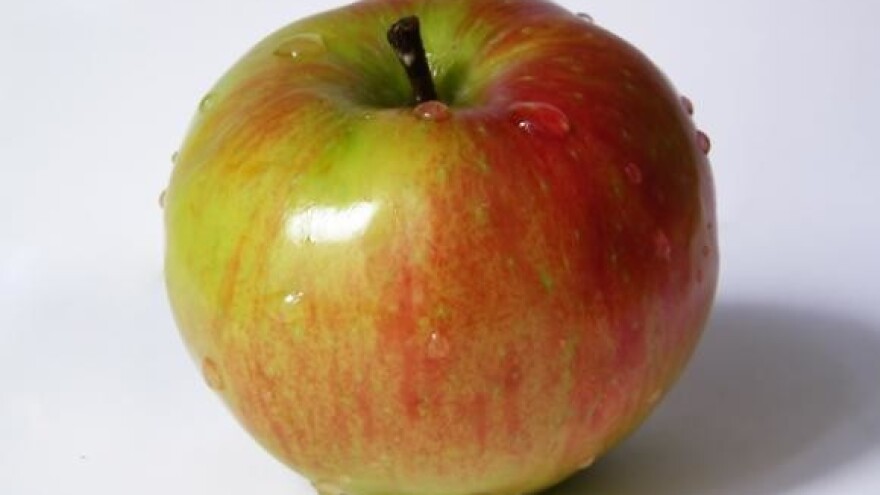 Dani voća u Đurđevcu