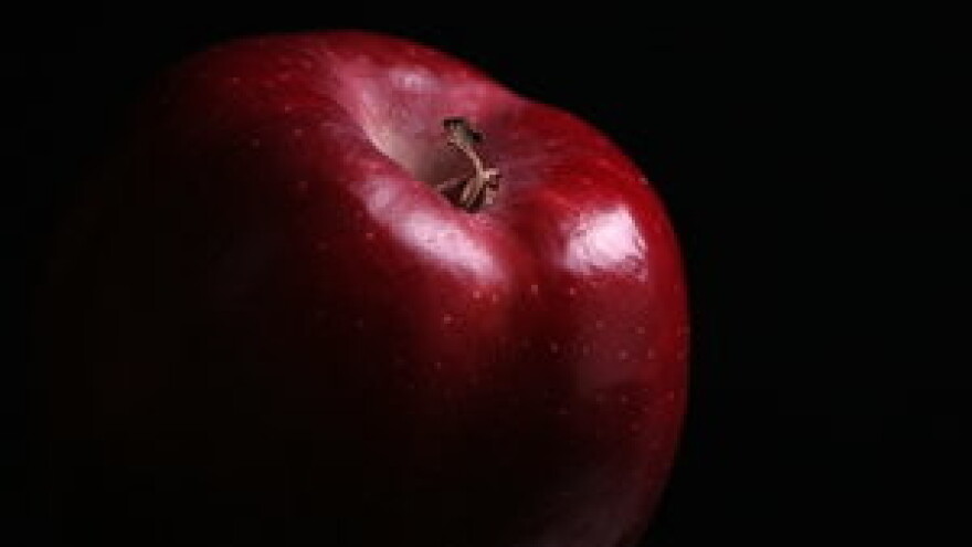 Mjere zaštite jabuke i kruške