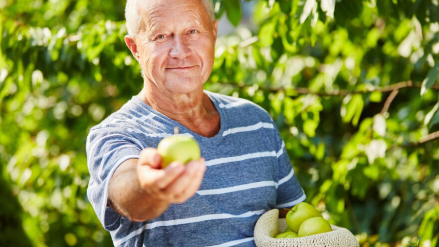 Prijavite se za mjeru povlačenja jabuka s tržišta