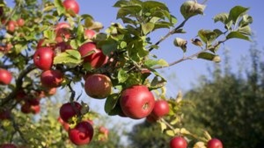 Potpisan dvogodišnji produžetak sporazuma