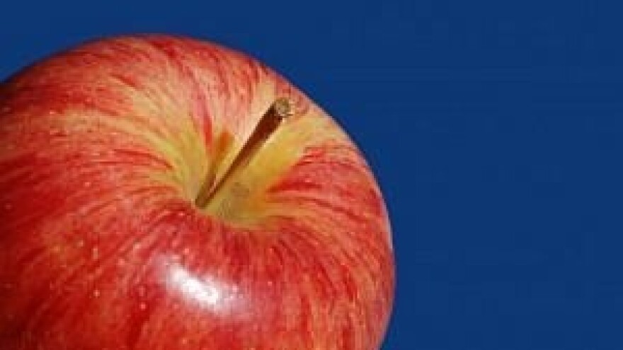 Hrvatski voćari nisu pripremljeni za EU