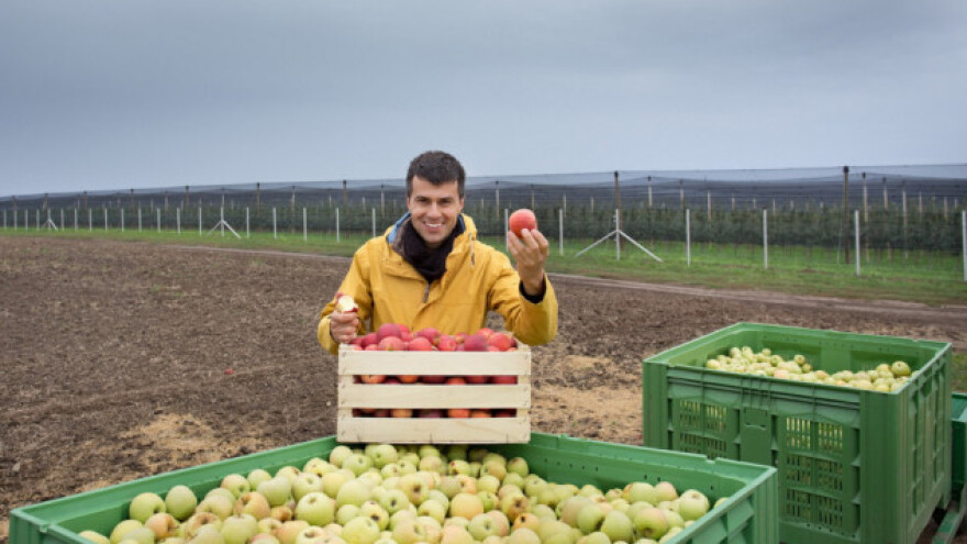 TOP destinacije svetske trgovine jabukama
