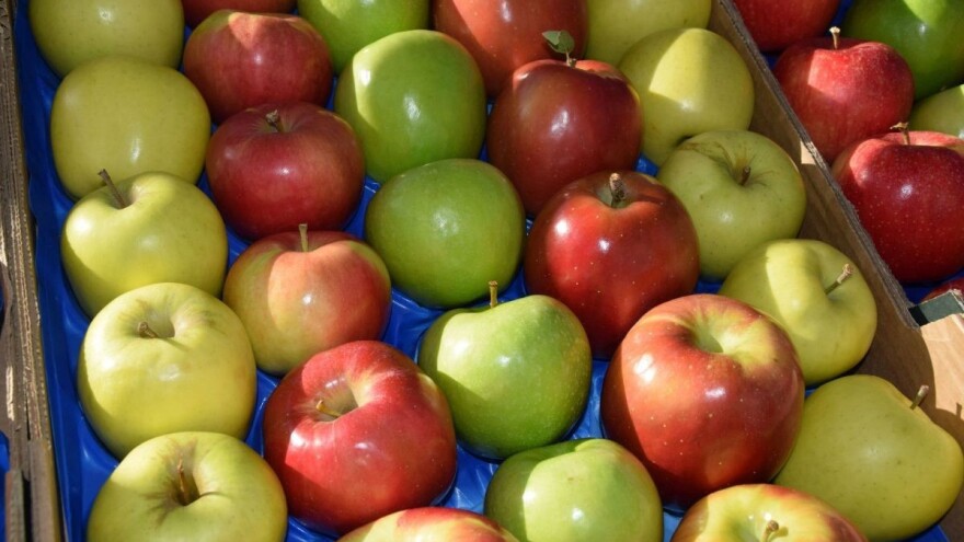 Što donose kriteriji vrednovanja dobavljača u okviru programa Školske sheme?