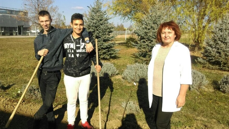 Učenici s profesoricom zasadili stare sorte jabuka u Poljoprivrednoj i veterinarskoj školi Osijek
