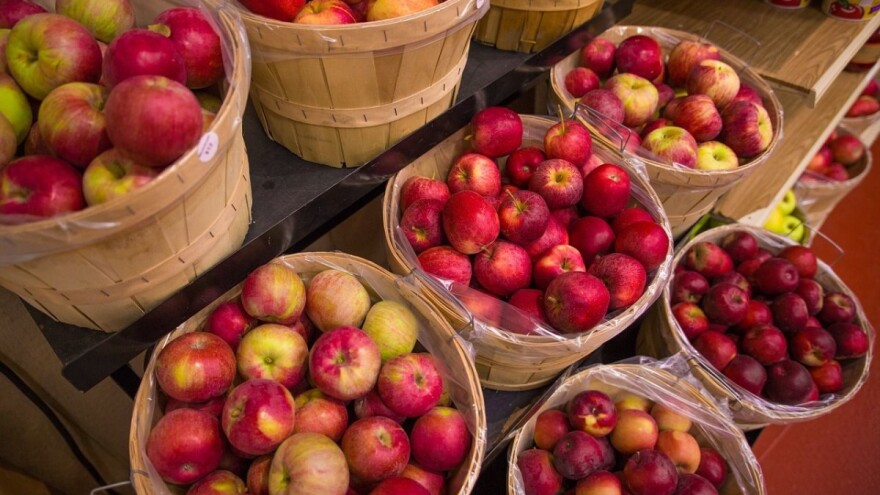 Prijavite se na 21. izložbu jabuka i voćnih prerađevina "Dani jabuka - Požega 2018."