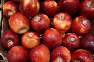 Jabuke iz Gradiške ipak nemaju višak pesticida - šteta nepopravljiva