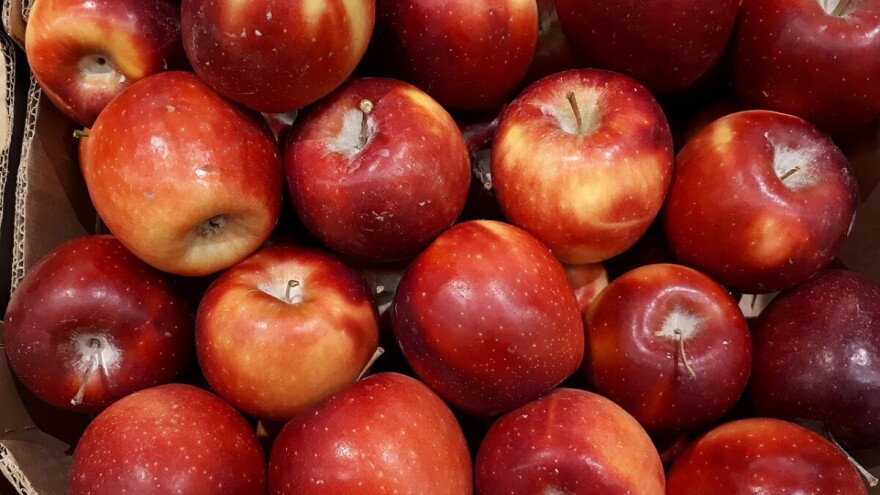 Jabuke iz Gradiške ipak nemaju višak pesticida - šteta nepopravljiva