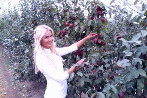 Jabuka pink lady uzgaja se u samo četiri države - susjedi među njima