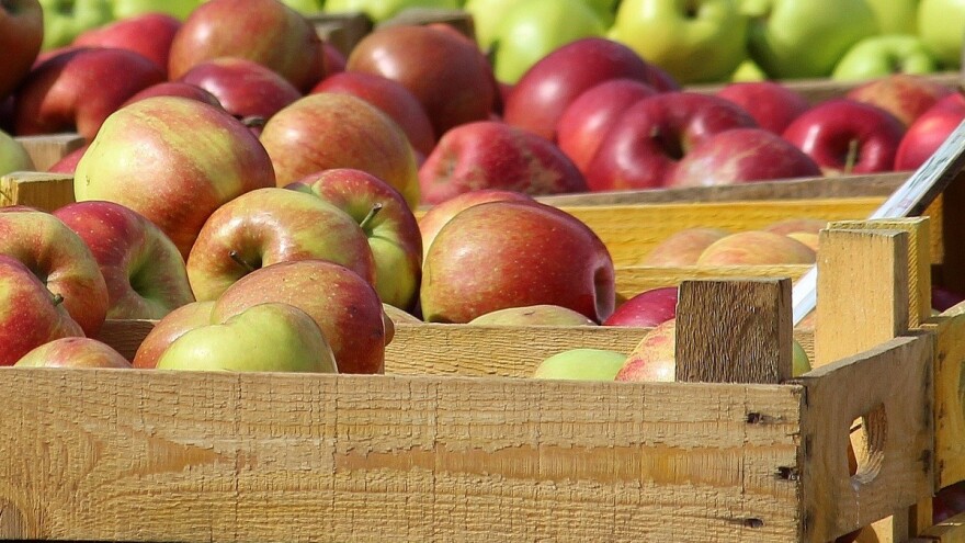 Pooštreni kriterijumi za izvoznike voća i povrća u Rusiju