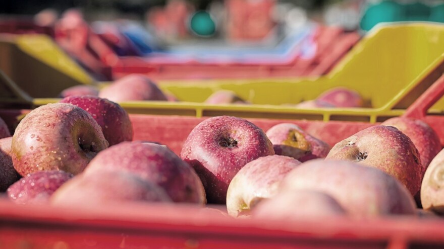 Agro-klaster pokrenuo kampanja "Domaće je naše"